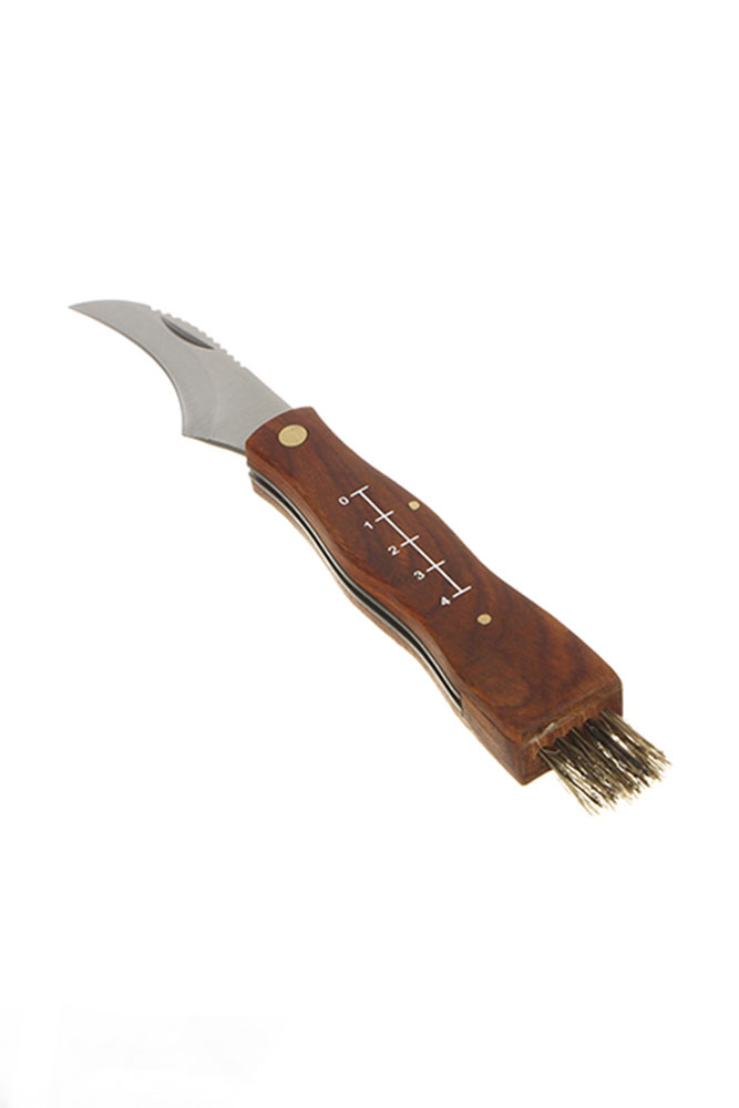 186-031 Нож грибника 21см