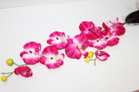 AJB4125-I Орхидея с корнем от магазина "Альянс Декор"