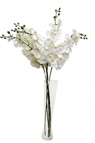 A53 Цветок Орхидея от магазина "Альянс Декор"