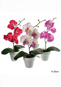 0029-9 Цветочная композиция Орхидея от магазина "Альянс Декор"